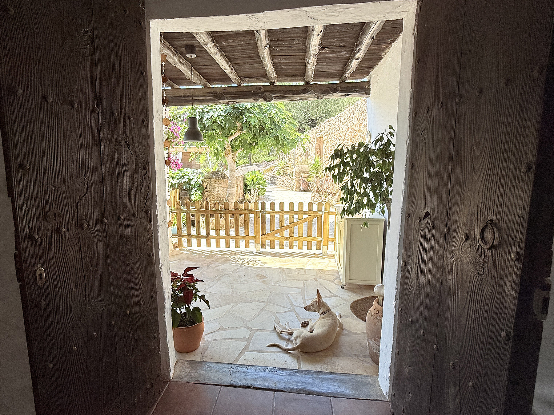 Resa Estates Ibiza koop  finca sale san augustin entrance door.jpeg